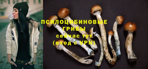 синтетический гашиш Алексеевка