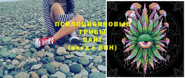 герыч Алексин