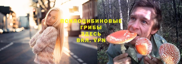 ГАЛЛЮЦИНОГЕННЫЕ ГРИБЫ Алзамай